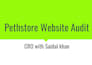 audit your shopify website to improve conversions